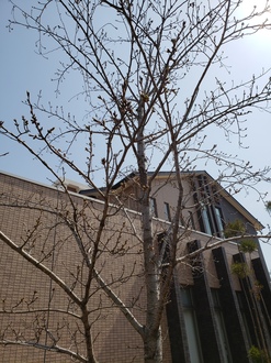 20190327_105522.jpg