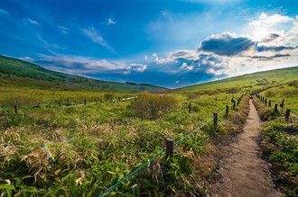 yamasha17822_DSC1089_TP_V.jpg